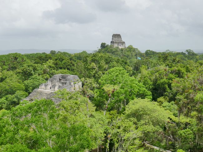 Tikal - Blick auf Tempel IV (hinten)