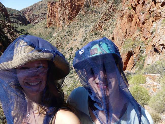 With fancy fly nets in the Serpentine Gorge