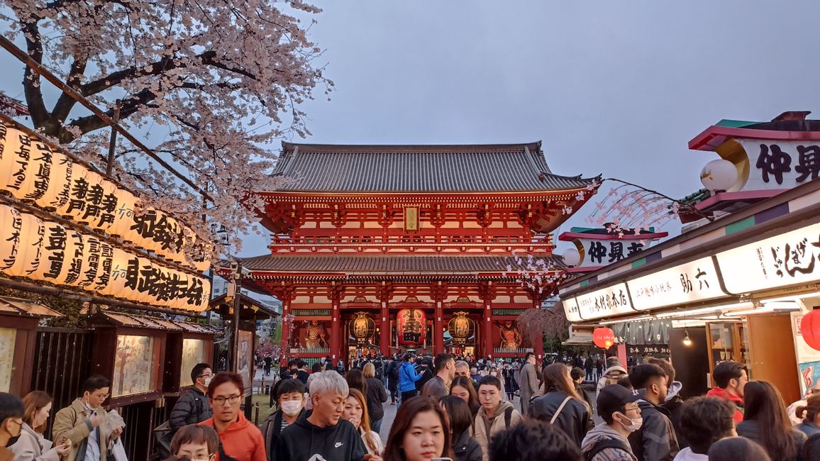 Impressive Impressions - Tokyo's Shrines