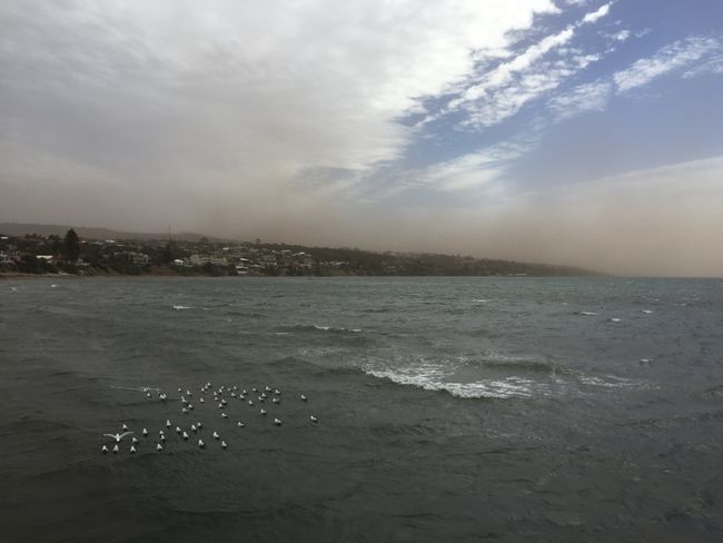 Dust cloud moving over Port Lincoln