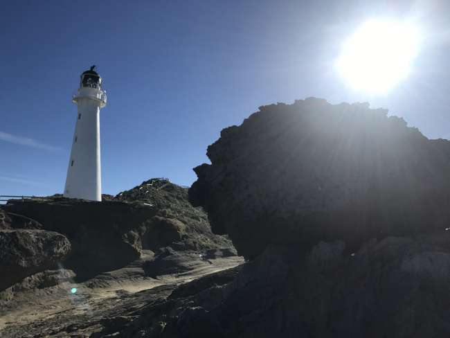 Castlepoint - Our spontaneous trip to the South Island