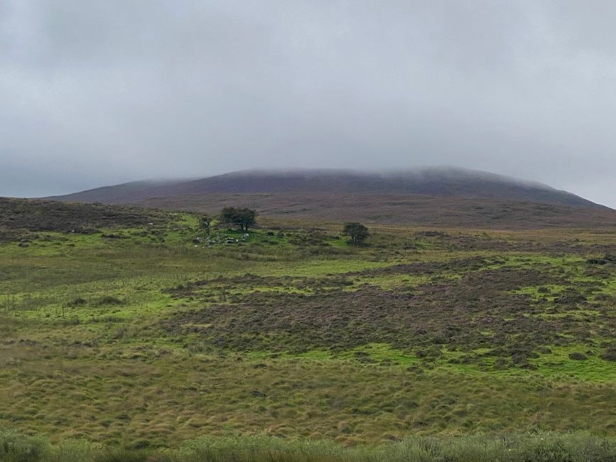 Ирска - (К) планинарска земја со куче