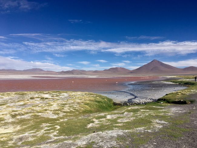 Laguna Colorada, Eduardo Avaroa Andean Fauna National Reserve 