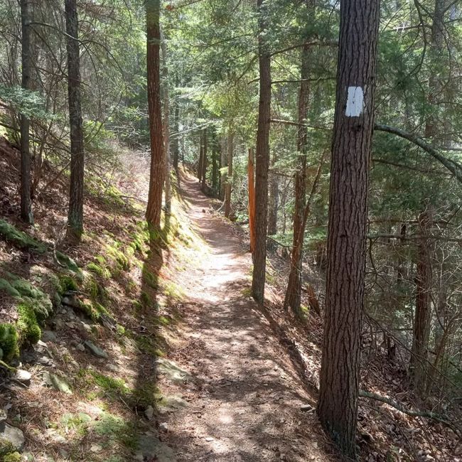 La vida en el sendero