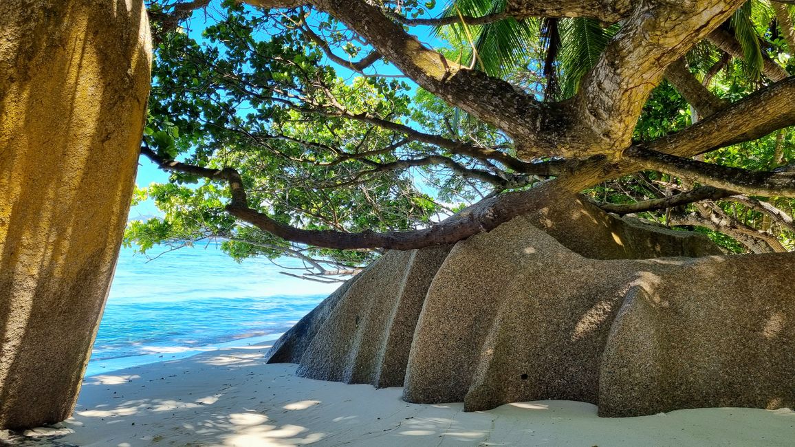 Seychellen 2023 - Teil 1: La Digue