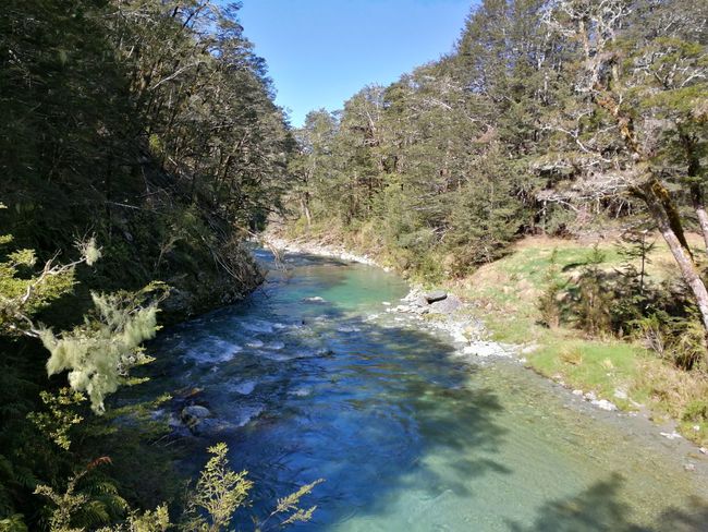 Routeburn Nature Walk