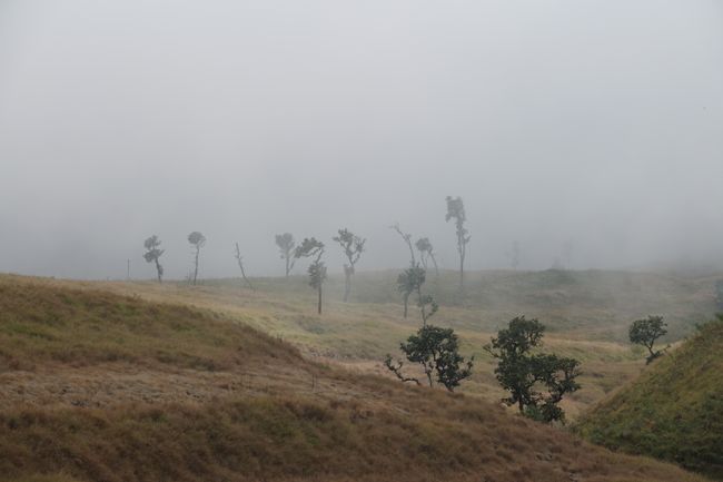 Day 193 -195 Trekking to Mount Rinjani