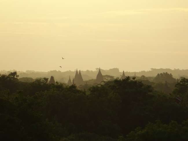Bagan – im Tempelmeer der ehemaligen Königsstadt
