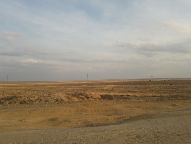dry steppe