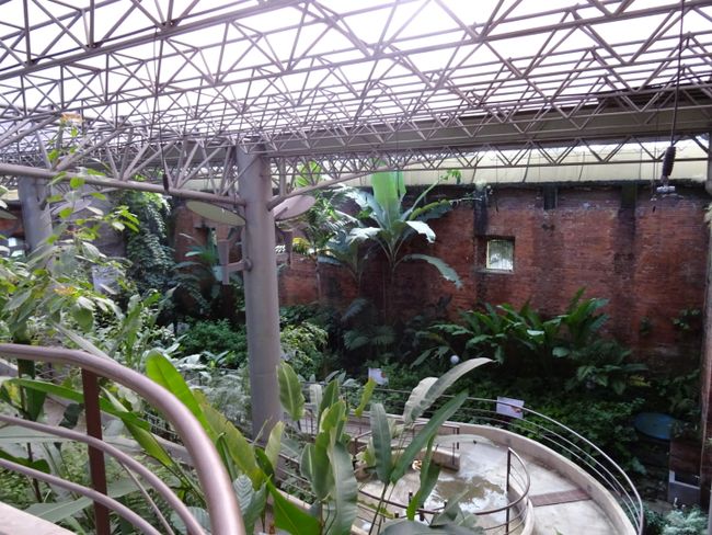 Schmetterlingsgarten