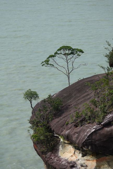 Day 232 and 233 in Bako National Park