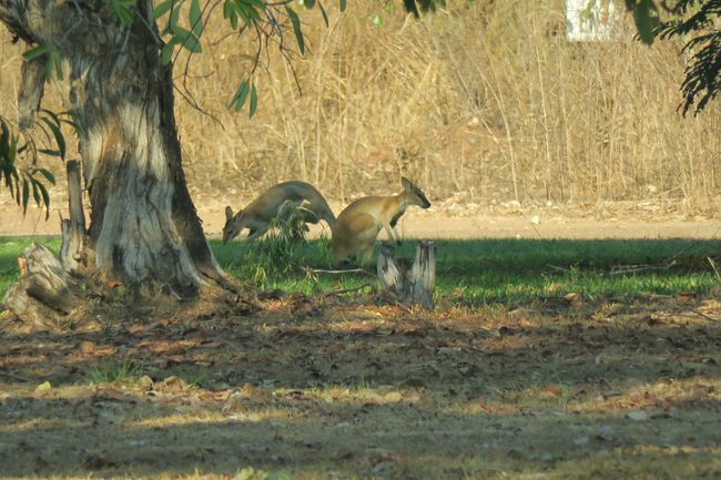 Welcome to Kakadu-park