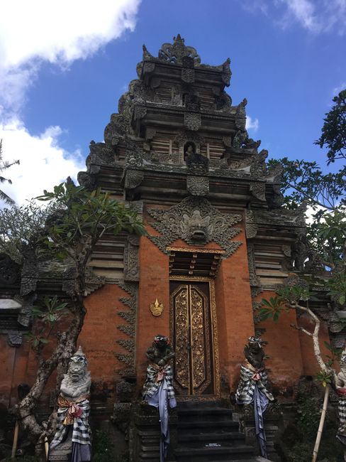 Above the clouds and the first day in Ubud