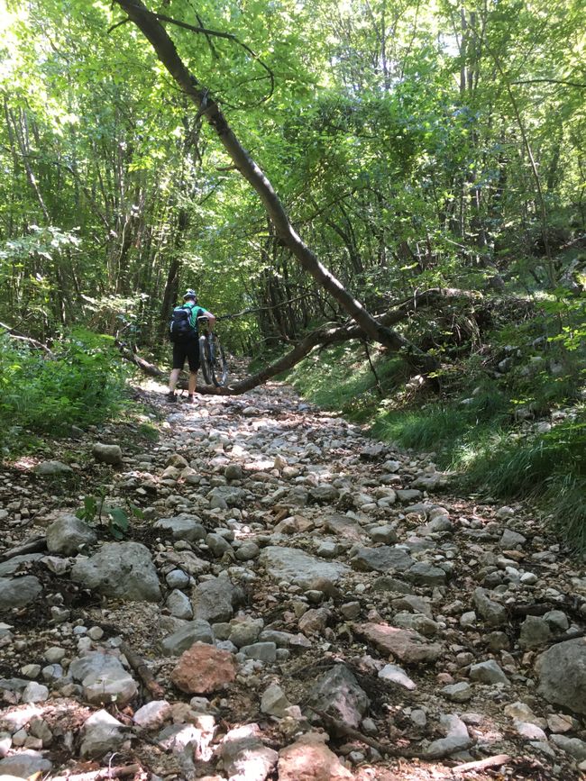 Off the beaten path through dry creek beds and steep climbs