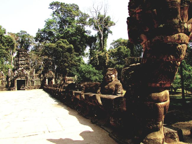 The Temples of Angkor
