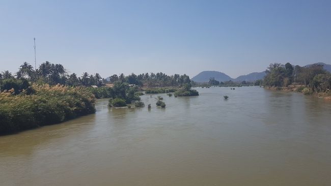 Don Det and Don Khon are part of the 4000 islands here in southern Laos. Whether there really are that many, who knows. However, these little grass-covered hills float everywhere. If they are counted, perhaps. 
