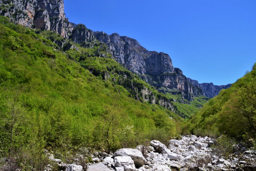The clear, turquoise river in the gorge. The source of the 'Vikos' water is located here