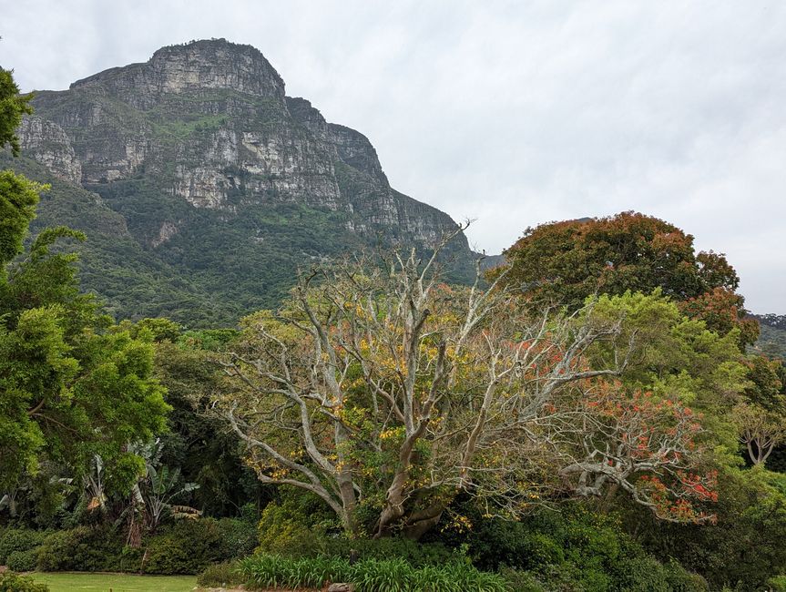Kapstadt/Cape Town