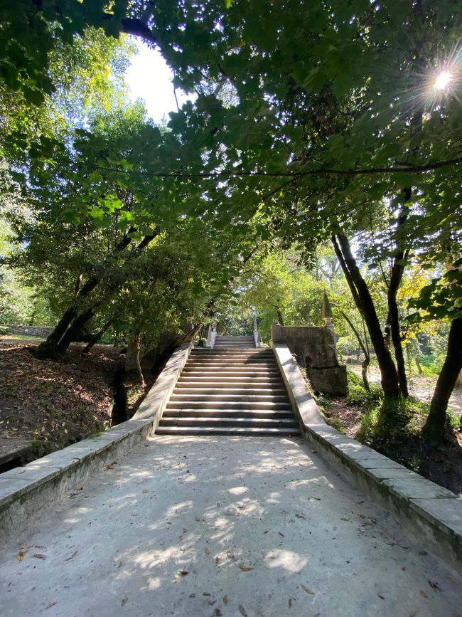 Parque de Santa Cruz