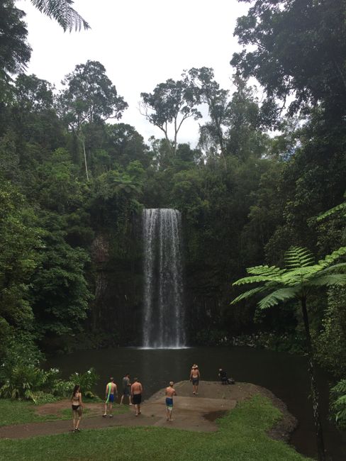 Cairns bis Brisbane - man ist das hübsch!