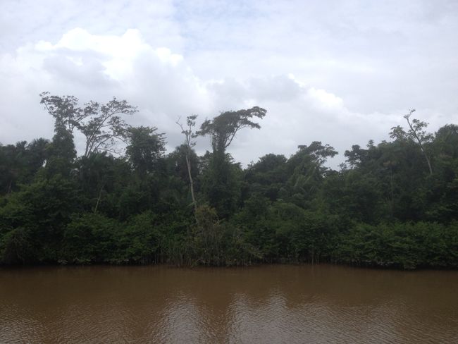 Brasilien: Rio Amazonas #2