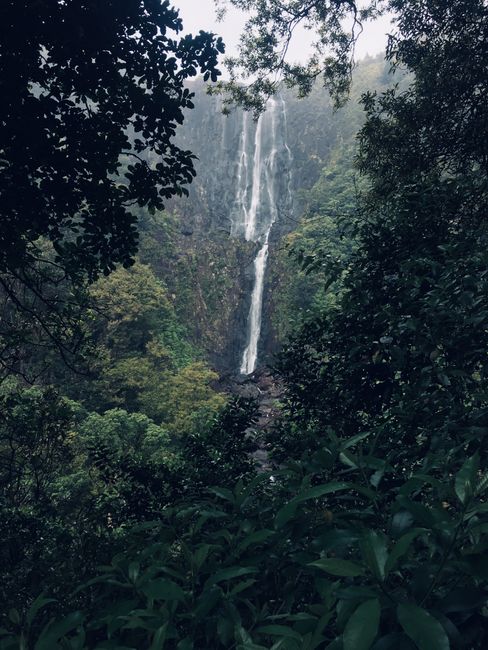 12|11|18, Blue Springs, Wairere Falls