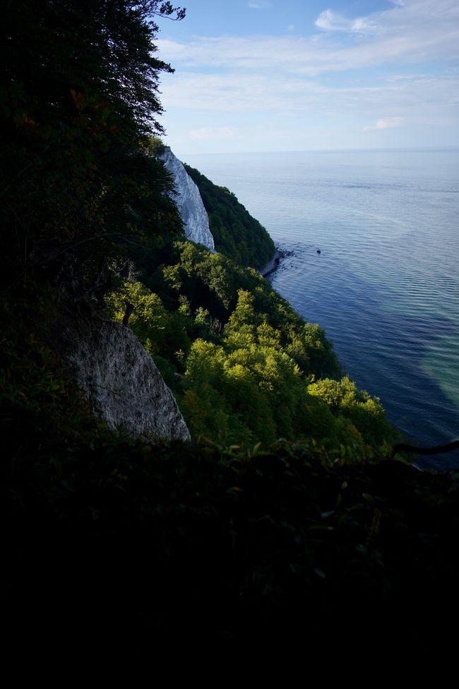 Kreidefelsen auf Rügen II