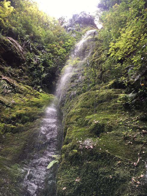 der Wasserfall im „Garten“ der Farm