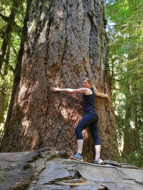 Hugging the tree, Cathedral Grove