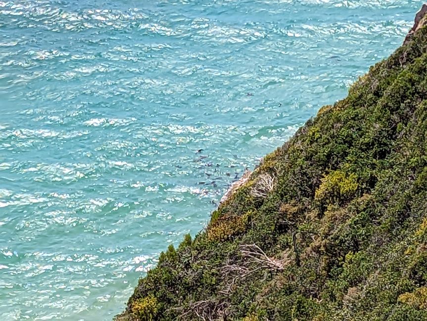 Plettenberg Bay/Robberg Nature Reserve