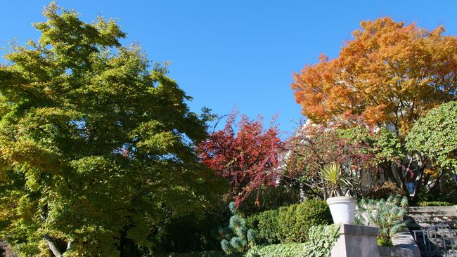 Herbst im Kerry Park