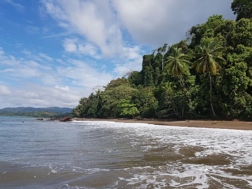 Costa Rica - Halbinsel Osa, Bahía Drake und Corcovado Nationalpark