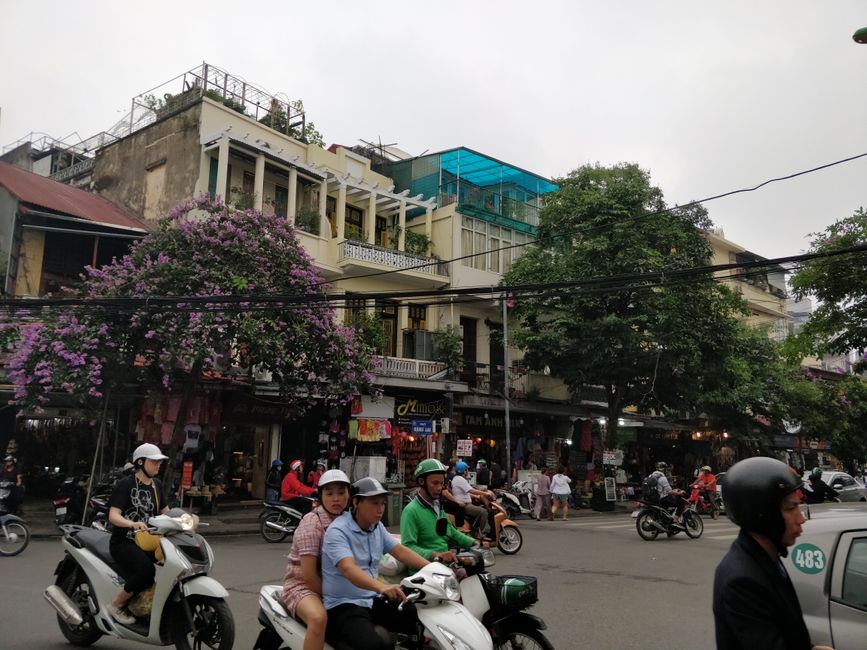 ...Ich bin dann mal weg... Motorradtour durch Vietnam - von Süd nach Nord (Etappe 8)