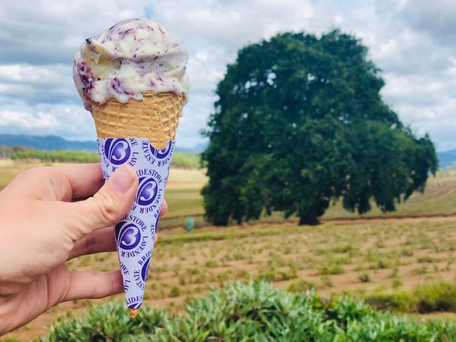 Lavender-blueberry ice cream