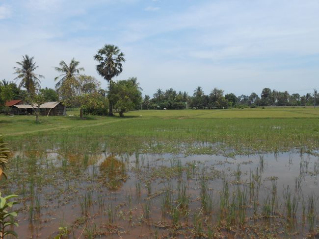 Kampots schoene Umgebung
