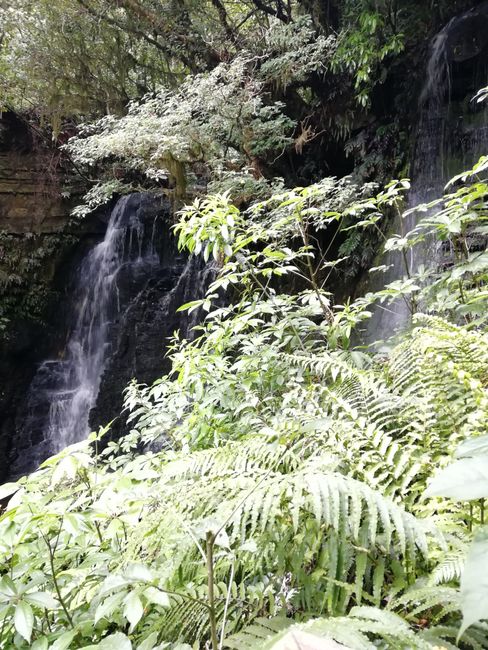 Matai Falls 1