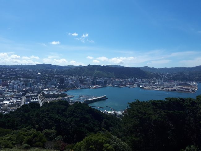 Silvester in Wellington