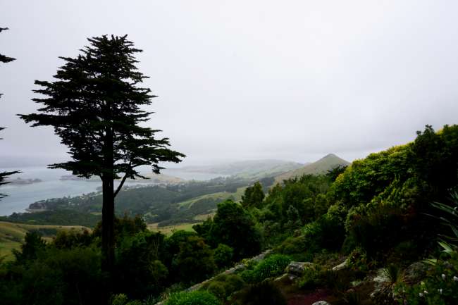 Blick über die Otago Peninsula