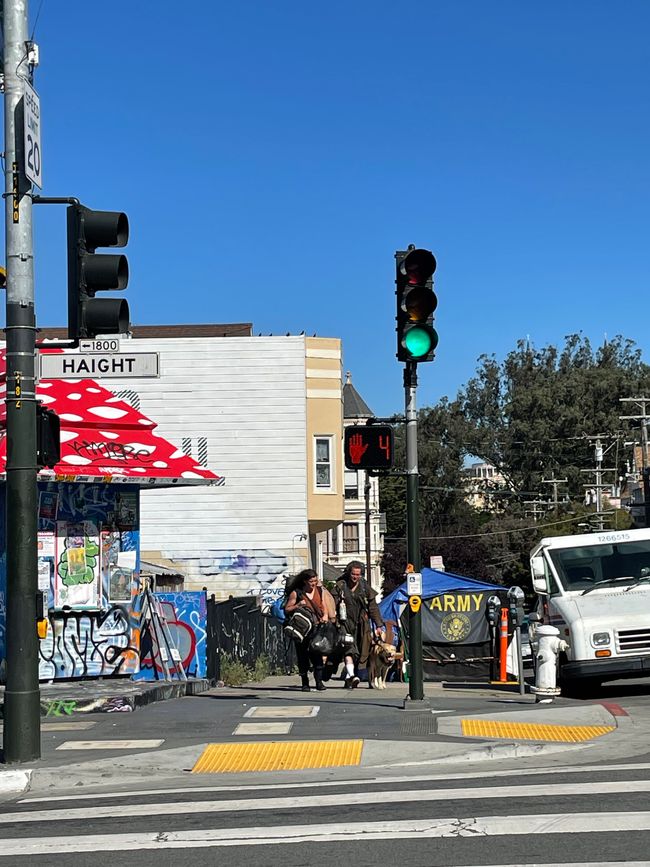 Painted Ladies, Hippieviertel Haight Ashbury und Golden Gate Park