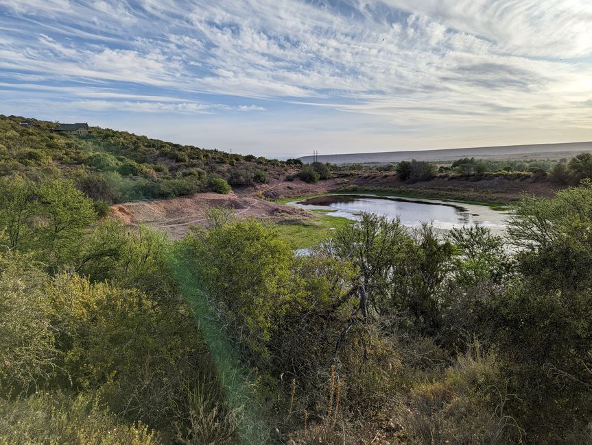 Knysna, Mossel Bay, Oudtshoorn