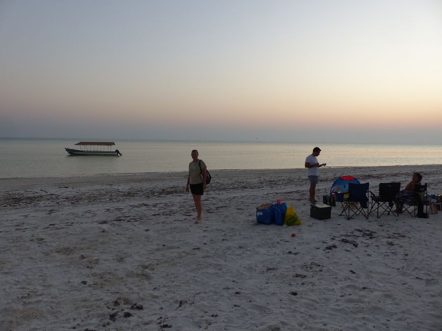 Oman Salt Flats and the Maldives