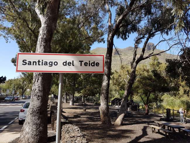 Kirche von Santiago del Teide und Mimose unterm Mimosenbaum