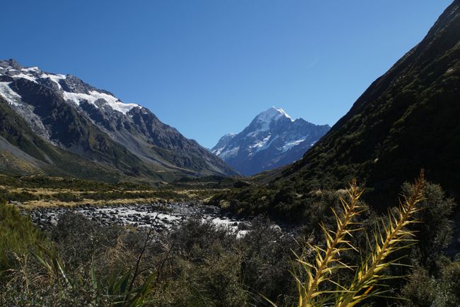 Our day at the Franz Josef Glacier, Mount Cook and Wanaka