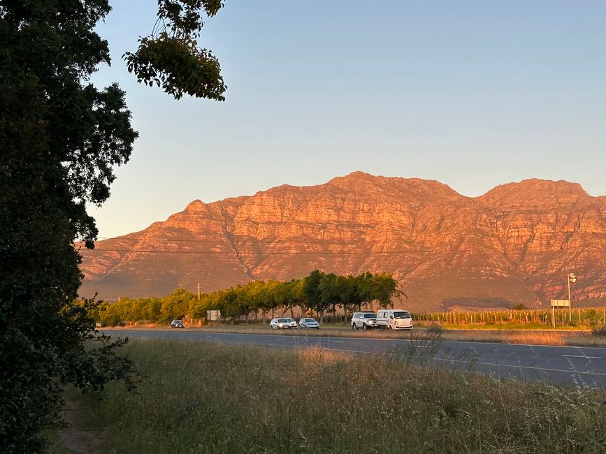 Stellenbosch 