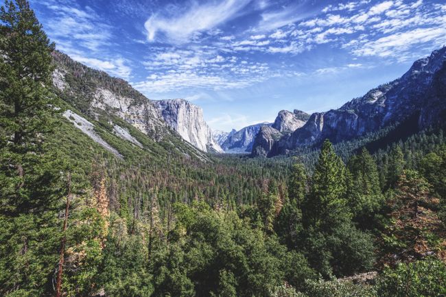 Tag 263: Yosemite-Nationalpark