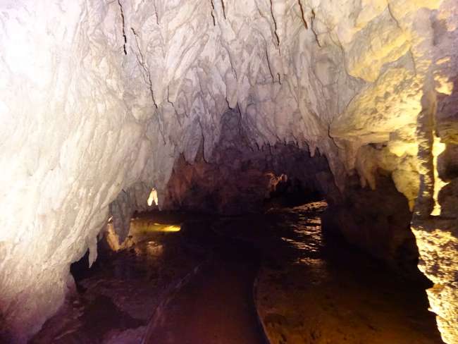 Waitomo Caves <3