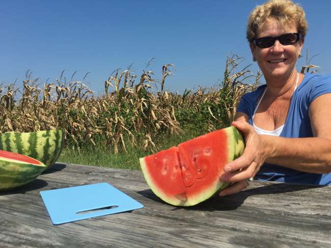 Wassermelone Maryland