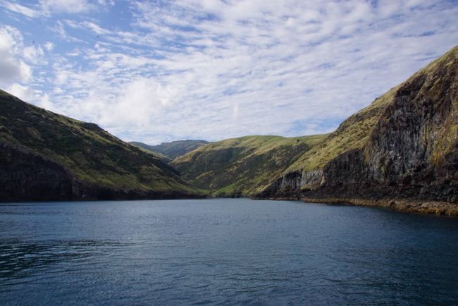 Blick auf die Halbinsel Banks Peninsula