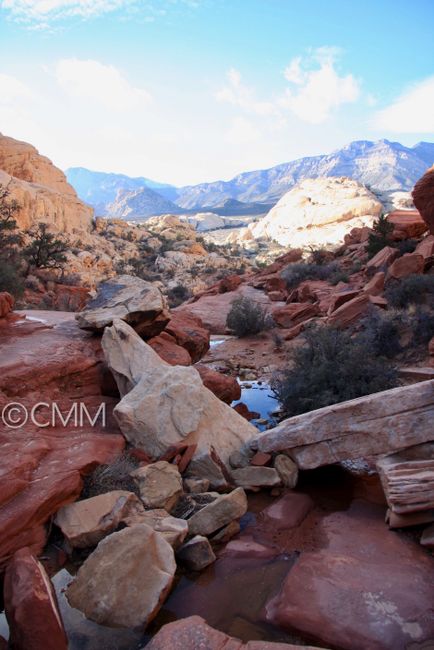 Red Canyon, Las Vegas, Valley of Fire, Zion & Death Valley