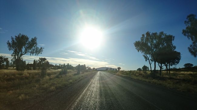 Ein letzter Blick auf den Uluru